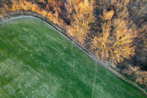 Aerial drone photo panoramic view of wine yards rows during winter time in Arda Valley high res photo