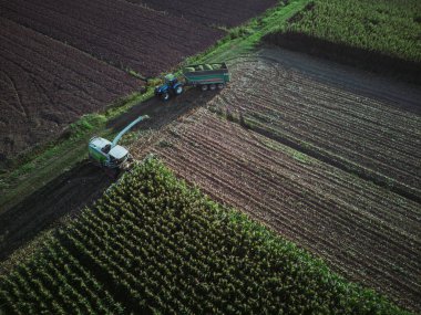 Hava gözlem dronu mısır hasatçısını vurdu sığırlar için yeşil tohum doğradı traktörle tarlaya çekildi.