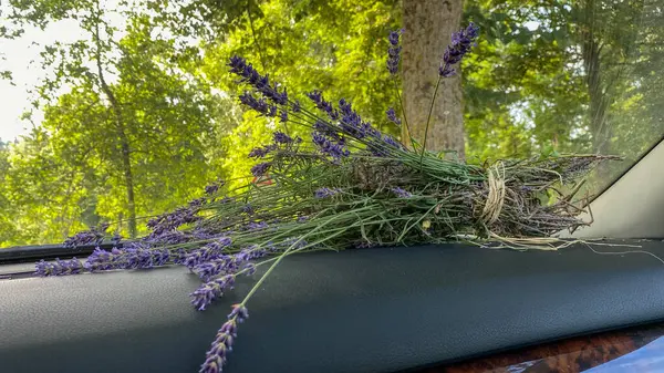 just harvested fresh lavender bouquet on a cash dashboard