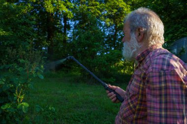 Yaşlı beyaz tenli güçlü çiftçi, tepelik arazide gün batımında ekinlerini bakır bitki öldürücüyle ilaçlıyor.