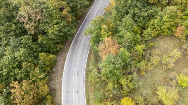Yeşil bir sonbahar ormanı boyunca kıvrımlı bir yolun havadan görünüşü, yemyeşil yeşillikler ve canlı renkler sergiliyor. Huzurlu vahşi yolculuğun tadını çıkar.. 