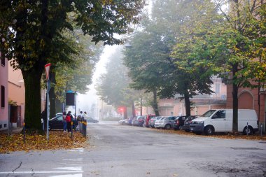 Cremona, Lombardy, İtalya - 7 Kasım 2024 Sis, park halindeki bir banliyö caddesini kaplıyor.