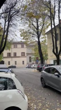 Cremona, İtalya - 9 Aralık 2024 Gri araba bulutlu bir sonbahar gününde park etmiş arabaları ve kuru yaprakları olan bir caddede sürüyor.