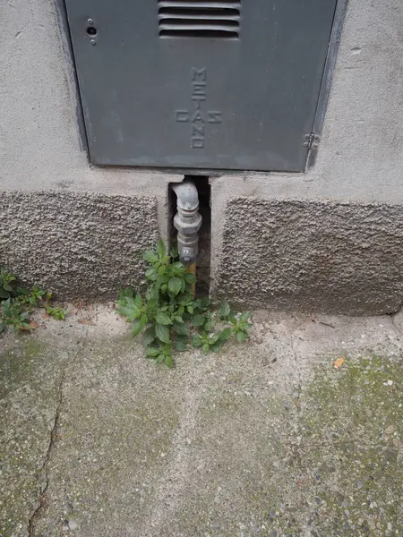 Enerji erişiminin doğal dünyayla buluştuğu gaz metre altyapı bağlantılarını ve kentsel manzaraları araştırmak, insan sistemleri ve çevresel elementler arasındaki etkileşimi ortaya koyuyor.