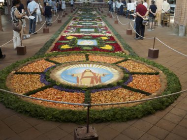 Alseno, İtalya 22 Haziran 2025. Turistler, İsa 'nın Corpus Christi ziyafeti için Chiaravalle della Colomba Manastırı' nda yarattığı muhteşem bir çiçek halısını gözlemlediler.