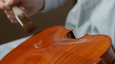 Luthier, keman gövdesine fırçayla cila sürüyor. İpli enstrümanların yapımında ustalık ve hassasiyet gösteriyor.