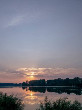 İtalya 'nın Emilia Romagna şehrinde renkli bir gündoğumu sırasında Po Nehri' nin sakin sularını yansıtan nehir bitkilerini aydınlatan altın saat.