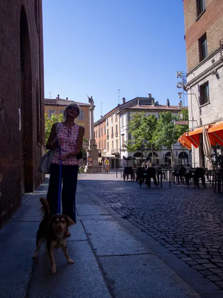 Cremona, İtalya - 27 Temmuz 2024 Güneşli bir kaldırım taşı caddesinde küçük bir köpeği gezdiren bir kadın kuzey İtalya 'da tarihi binalar ve açık hava kafeleriyle dolu büyüleyici bir Avrupa seyahat sahnesi