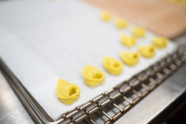 Freshly Made Uncooked Yellow Tortellini Arranged in Rows on a Parchment Lined Tray Ready for Cooking