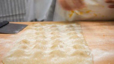 Close up of a passionate chef meticulously crafting fresh ravioli by hand in a rustic Italian kitchen dusted with flour during a busy small business service focusing on artisanal food preparation techniques and culinary dedication