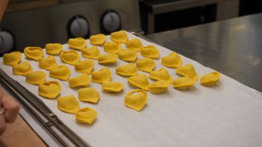 Expertly handcrafted pumpkin stuffed tortellini lovingly prepared in a bustling professional kitchen a true taste of autumn