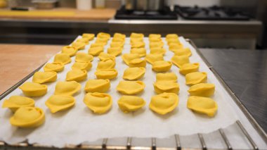 Artisan chef meticulously crafts fresh tortellini by hand with focused concentration in a bustling professional kitchen environment showcasing dedication to authentic Italian cuisine preparation