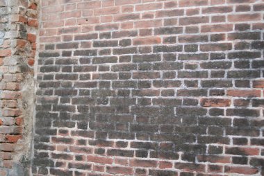 Yıpranmış tuğla bir duvarın üzerini kapayarak, rutubet ve çürüme izleri göstererek gün ışığında yaşlılık ve ihmalkârlık belirtileri gösterir.