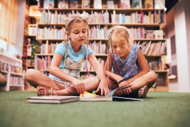 Okul kütüphanesinde kitap okuyan iki kız öğrenci. İlkokul öğrencileri kitaplardan öğreniyor. Öğrenciler ödev yapıyor. Okul kulübünde çocuklar kitaplarla eğleniyor. Okula geri dön.