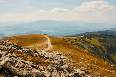 Dağ manzarası. Çim ve ağaçlarla kaplı dağ tepeleri, yamaçlar, tepeler ve vadilerin manzarası. Panoramik manzara. Doğal bir manzara. Güzel arkaplan