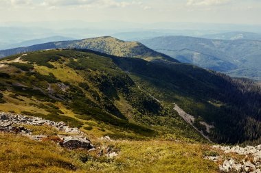 Dağ manzarası. Çim ve ağaçlarla kaplı dağ tepeleri, yamaçlar, tepeler ve vadilerin manzarası. Panoramik manzara. Doğal bir manzara. Güzel arkaplan