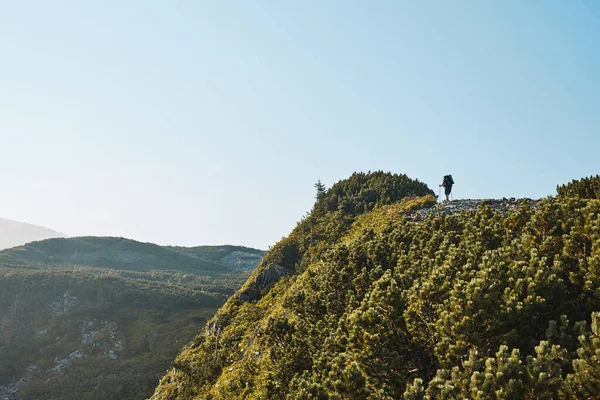 Dağlarda Yürüyüş Dağ Manzarası Çim Ağaçlarla Kaplı Dağ Tepeleri Yamaçlar — Stok fotoğraf