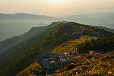 Dağlarda gün doğumu. Aydınlatılmış sisli tepeleri, sisli yamaçları ve vadileri olan doğal dağ manzarası, turuncu sarı güneş ışığıyla mavi gökyüzü. Polonya 'dan Beskid Zywiecki' den inanılmaz bir sahne