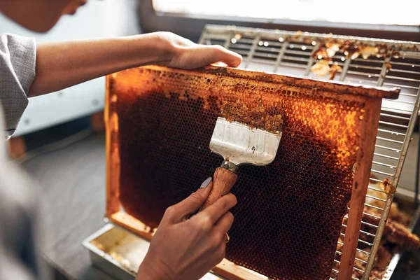 Bal üretimi. Arı kovanında çalışıyorum. Kovandan bal peteği. Arı kovanında hasat zamanı. Hobi olarak arıcılık. Tarım üretimi