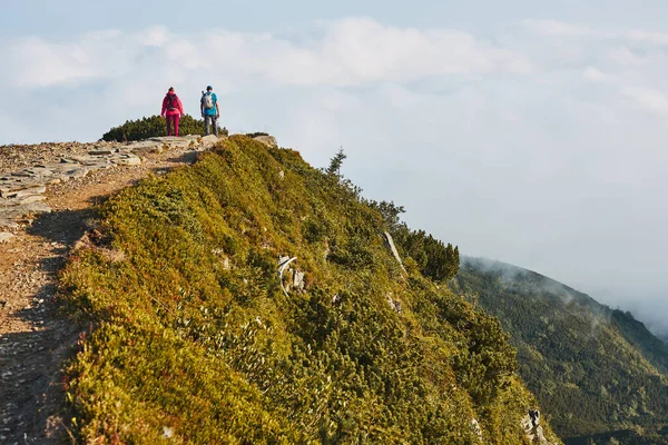 Dağlarda Yürüyüş Yapan Insanlar Dağ Manzarası Çim Ağaçlarla Kaplı Dağ — Stok fotoğraf