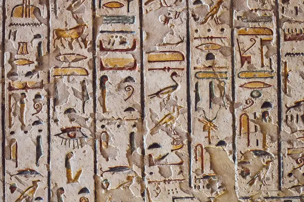 Єгипетські Ієрогліфи Стародавні Символи Історичний Досвід Стародавні Єгипетські Знаки Символ — стокове фото