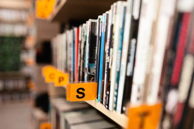 Kitaplar, sesli kitaplar, radyo dizileri ve kütüphanedeki bir rafta duran filmler. Okul okumaları. Kitapçı ve ikinci el kitapçı. Okul ve üniversite kütüphanesi. Eğitim temalı konsept