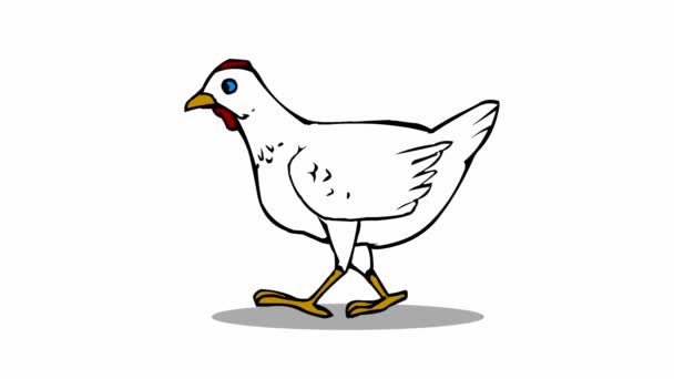 Går Kyckling Grön Skärm Tecknad Animerad Illustration Kyckling — Stockvideo