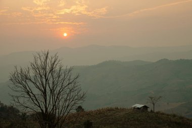 Güzel günbatımında, renkli ışıklarla ve dalların gölgeleriyle dağ manzarası.