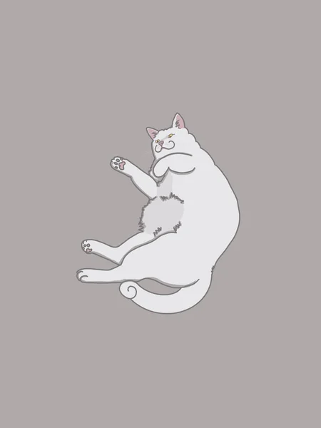 Draw Cartoon Cats Different Poses Character Collection Cute Cat Style — Stock Photo, Image