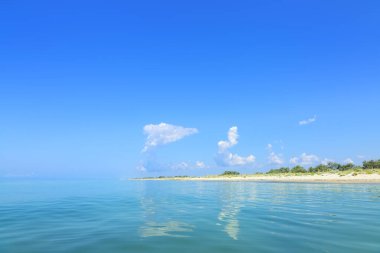 Yazın mavi denizli bir ada, güneşli bir gün. Karadeniz kıyısındaki vahşi yaşam. Mavi bir denizi ve güzel bulutları olan bir ada, yaz, güneşli bir gün..