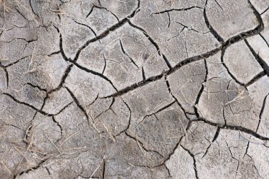 Arka plan olarak kuru ve çatlak toprak yüzeyi.
