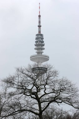 Hamburg TV kulesi. Hamburg TV kulesi kışın şehir parkında sisli bir gökyüzünün arka planında.