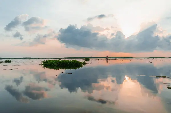 Ladang Teratai Merah Muda Danau Thale Noi Provinsi Phatthalung Thailand Stok Gambar Bebas Royalti