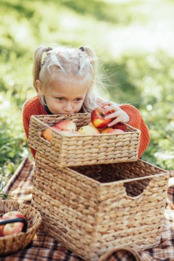 Sonbaharda çiftlikte elma toplayan bir çocuk. Ağaç bahçesinde oynayan küçük kız. Sağlıklı beslenme. Tatlı küçük kız kırmızı lezzetli meyve yiyor. Hasat Konsepti. Elma toplama.