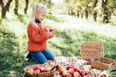 Sonbaharda çiftlikte elma toplayan bir çocuk. Ağaç bahçesinde oynayan küçük kız. Sağlıklı beslenme. Tatlı küçük kız kırmızı lezzetli meyve yiyor. Hasat Konsepti. Elma toplama.