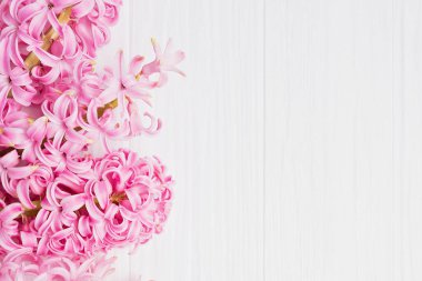 8 March greeting card. mothers day, International Womens Day congratulate Holiday background celebration concept. Pink hyacinth bouquet on white wooden background. Copy space