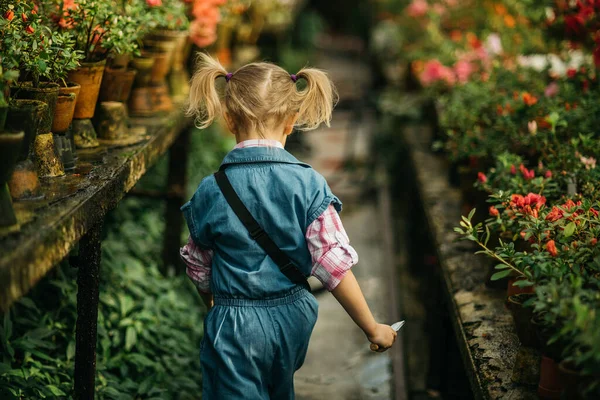 Дитина Саджає Весняні Квіти Маленька Дівчинка Садівник Вирощує Азалію Дівчина — стокове фото