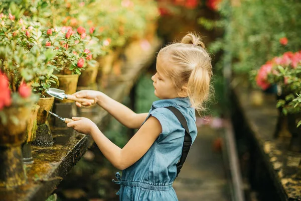 Παιδί Φυτεύει Ανοιξιάτικα Λουλούδια Ένα Κοριτσάκι Κηπουρός Φυτεύει Αζαλέα Κορίτσι — Φωτογραφία Αρχείου