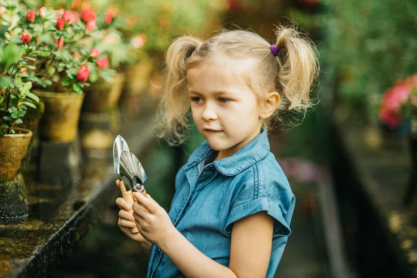 春の花を植える子供 小さな女の子の庭師の植物ツツジ 女の子の花の鍋にツツジブッシュを保持します 子供は植物の世話をする 園芸用具 スペースのコピー — ストック写真