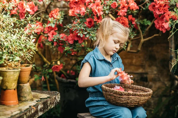 Дитина Саджає Весняні Квіти Маленька Дівчинка Садівник Вирощує Азалію Дівчина — стокове фото