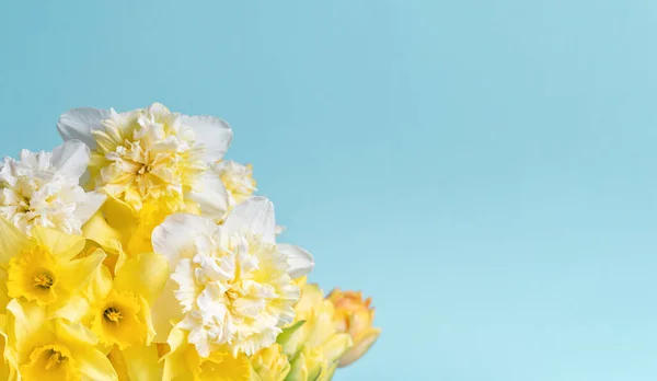 Bunga Kuning Bakung Pada Latar Belakang Biru Bouquet Dari Narsis — Stok Foto