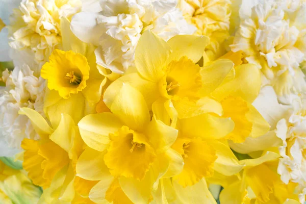 Latar Belakang Bunga Kuning Bakung Bouquet Yellow Narcissus Daffodil Greeting — Stok Foto