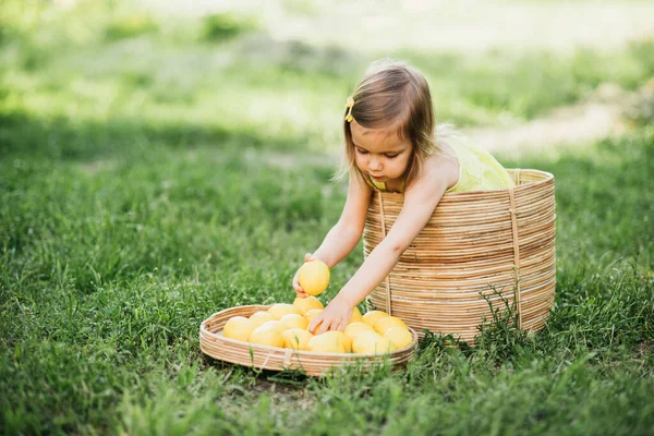 Gadis Kecil Dengan Lemon Limun Berdiri Taman Potret Bayi Lucu — Stok Foto