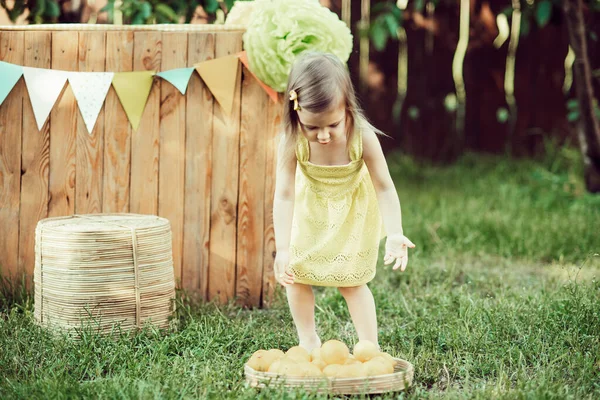 Gadis Kecil Dengan Lemon Limun Berdiri Taman Potret Keranjang Bayi — Stok Foto