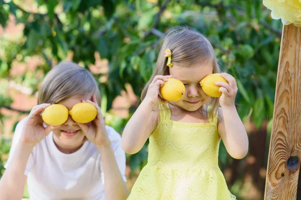 Anak Laki Laki Dan Perempuan Dengan Lemon Stan Limun Taman — Stok Foto