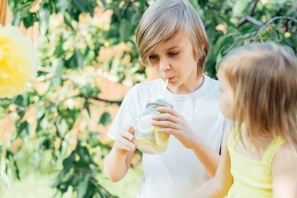 Anak Anak Minum Limun Alami Taman Musim Panas Menyegarkan Minuman — Stok Foto