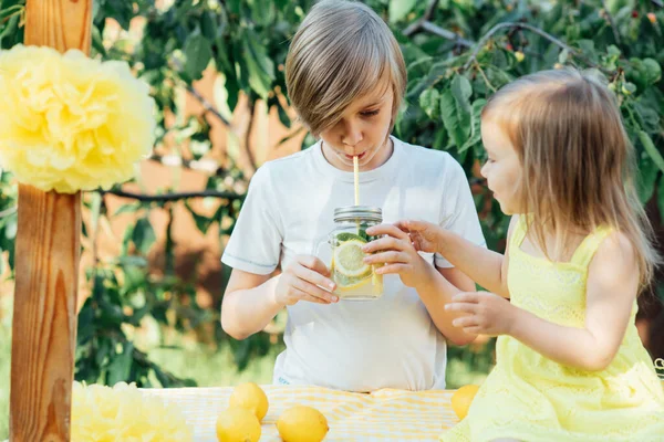 Anak Anak Minum Limun Alami Taman Musim Panas Menyegarkan Minuman — Stok Foto