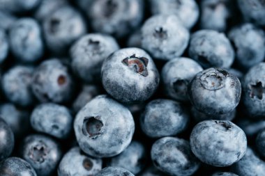 Hindistan cevizi kabında koyu arkaplanda taze toplanmış yabanmersini. Sağlıklı organik mevsimlik meyve arka planı. Çilekler yakın çekim makrosu