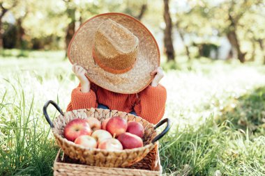Sonbaharda çiftlikte elma toplayan bir çocuk. Ağaç bahçesinde oynayan küçük kız. Sağlıklı beslenme. Tatlı küçük kız kırmızı lezzetli meyve yiyor. Hasat Konsepti. Elma toplama.