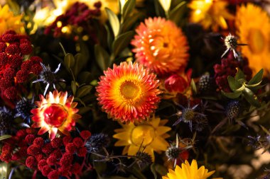 Kuru kırmızı turuncu çiçeklerin ve bitkilerin sonbahar kompozisyonu. Sonbahar çiçekleri yakın plan, cadılar bayramı, Şükran Günü süslemeleri. Çiçekli sanat dekorasyonu. Yakın plan..